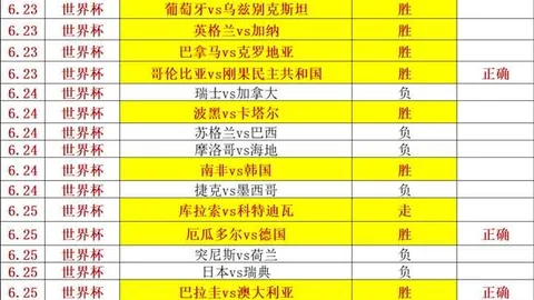 世界杯买球，线上下注，下注 110237